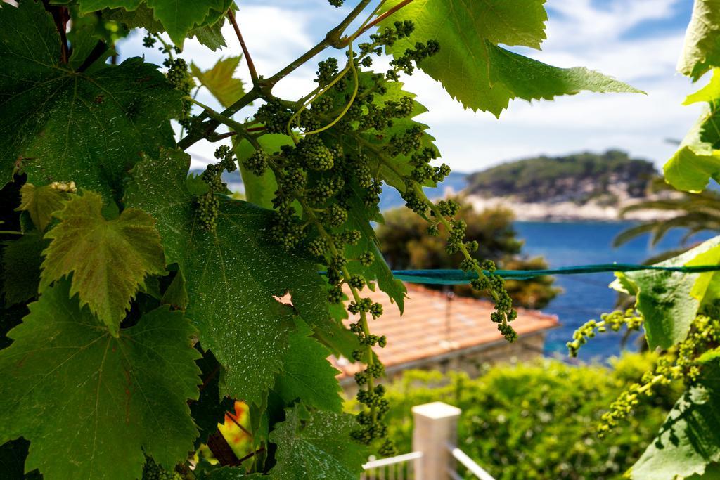 Apartments Bicanic Hvar Town Exterior photo